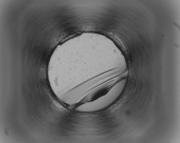 X0000090950393200708301145