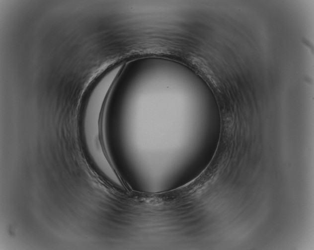 X0000090950395200708301144