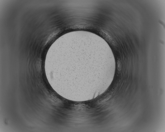 X0000090950396200708301144