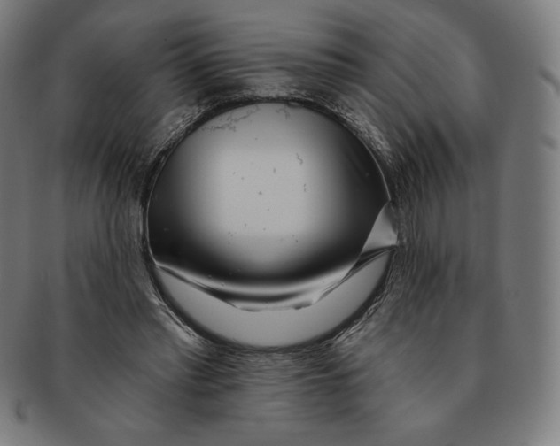 X0000090950397200708301144