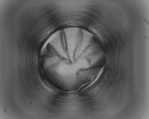 X0000090950398200708301144