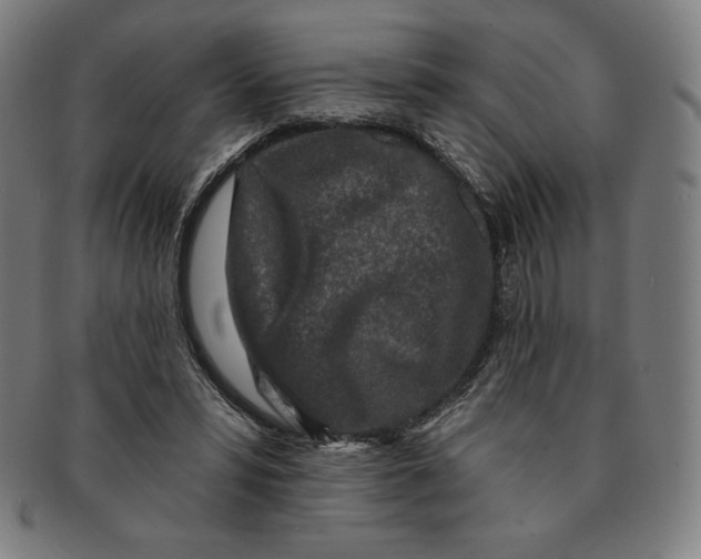 X0000090950399200708301144