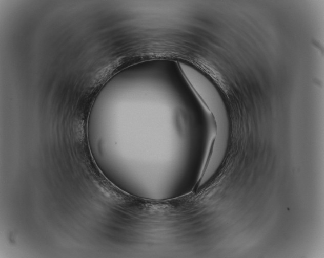 X0000090950401200708301144