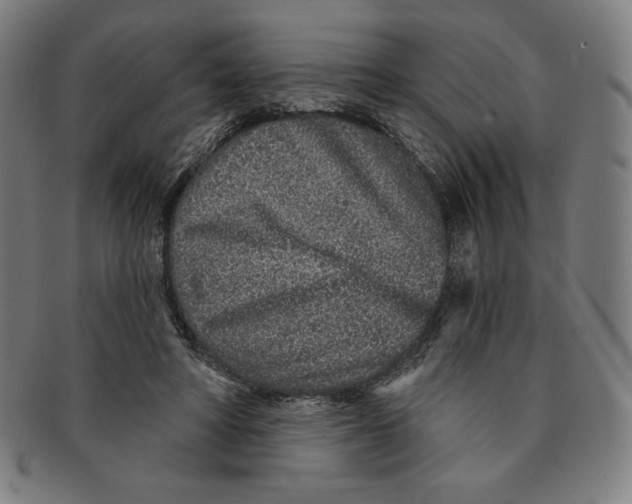 X0000090950402200708301144