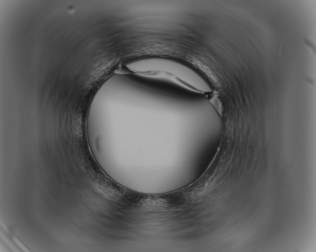 X0000090950403200708301144