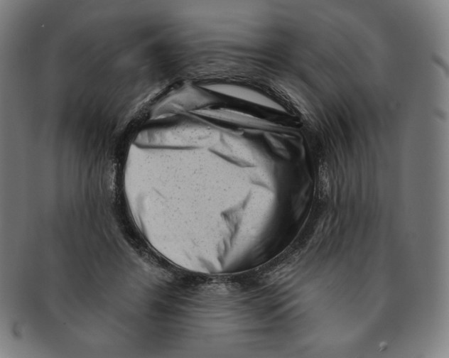 X0000090950404200708301144
