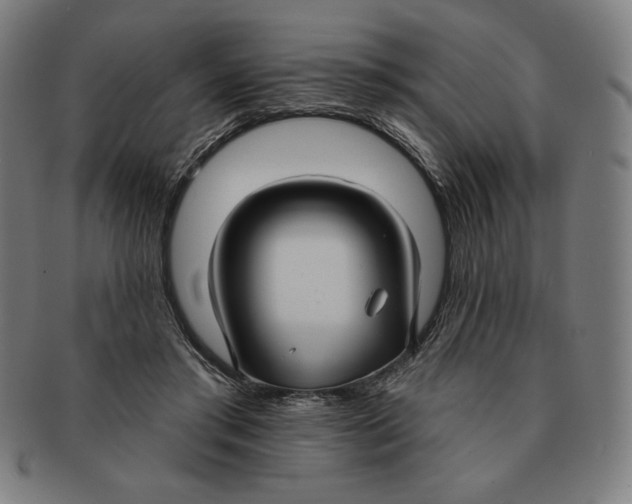 X0000090950405200708301144