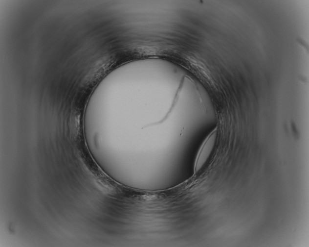 X0000090950406200708301144