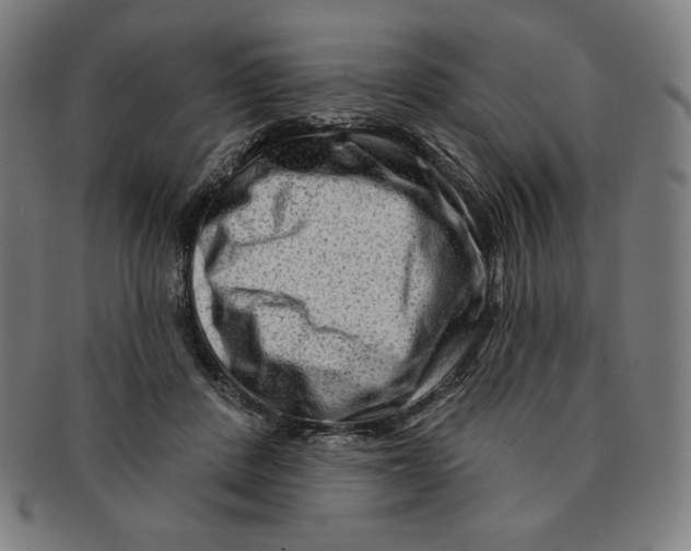 X0000090950408200708301144