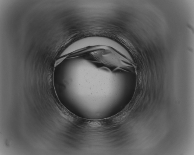 X0000090950409200708301144