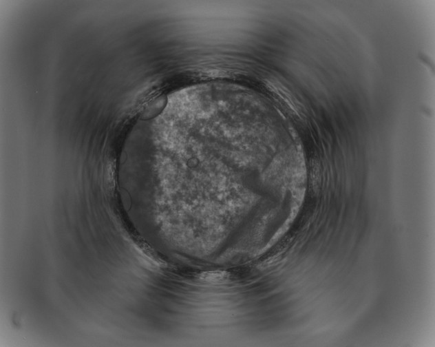 X0000090950410200708301144