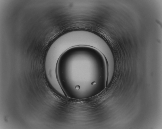 X0000090950411200708301144