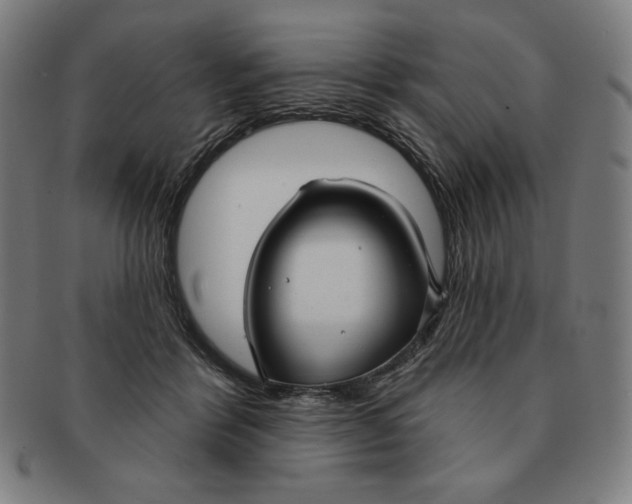 X0000090950412200708301144