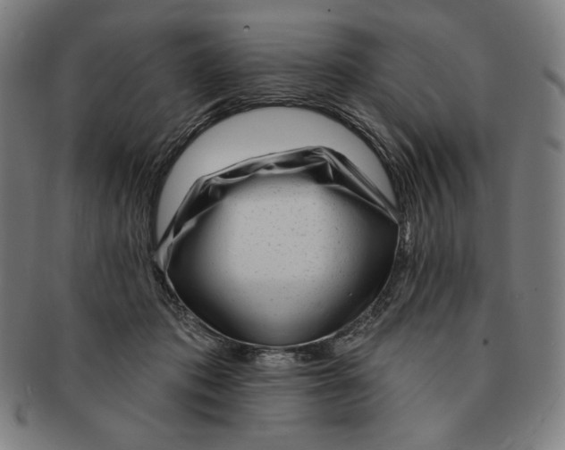 X0000090950413200708301144