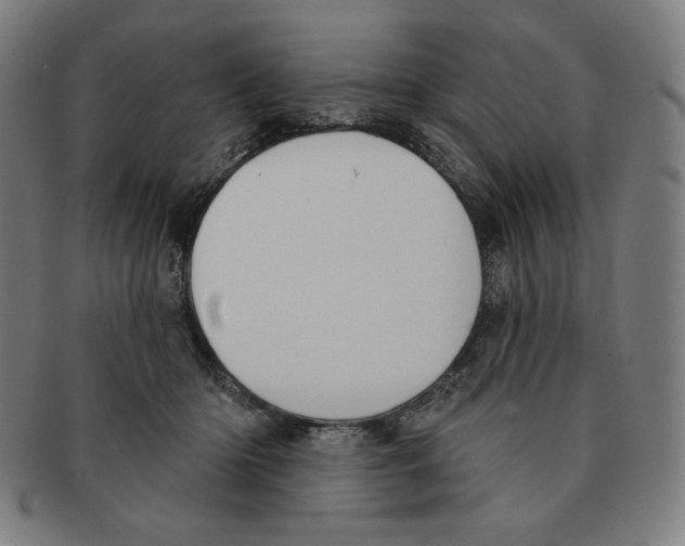 X0000090950414200708301144