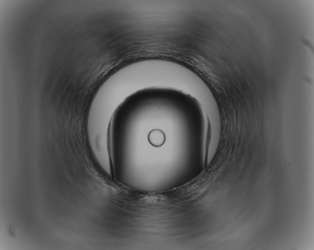 X0000090950415200708301144