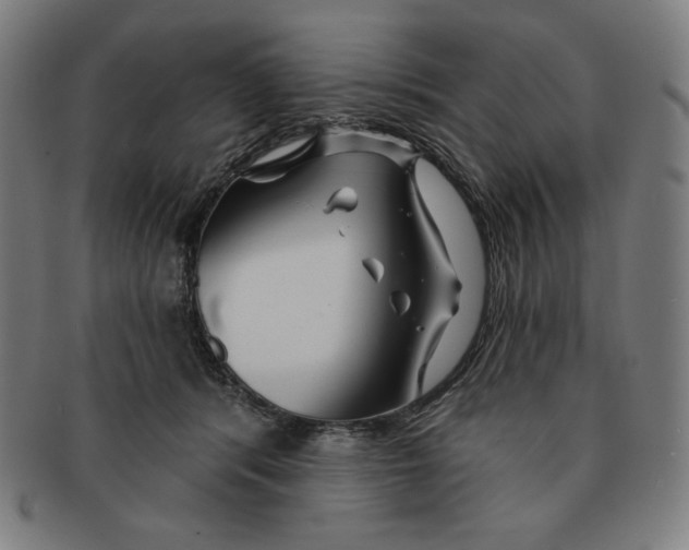X0000090950416200708301144
