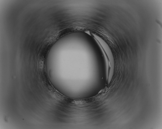 X0000090950417200708301144