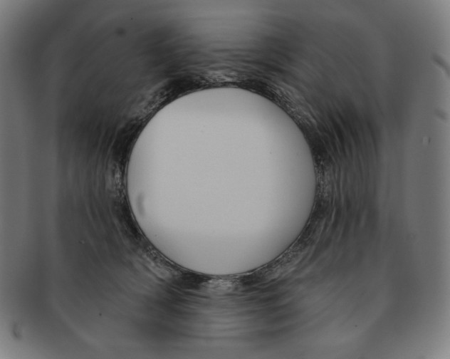 X0000090950418200708301144