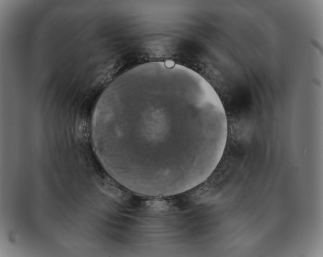 X0000090950419200708301144