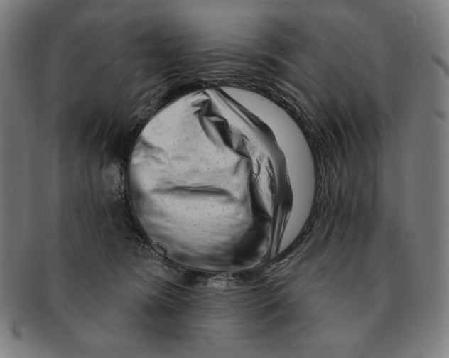 X0000090950420200708301144