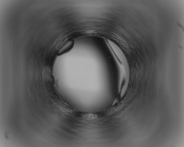 X0000090950421200708301144
