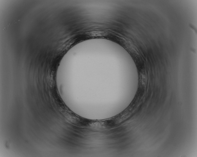 X0000090950422200708301144