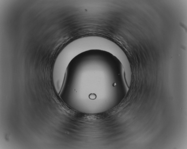 X0000090950423200708301144