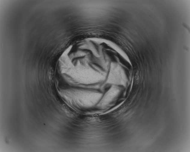X0000090950424200708301144