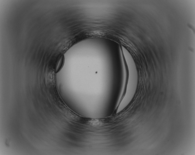 X0000090950425200708301144