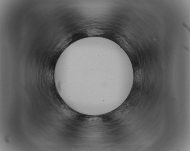 X0000090950426200708301144