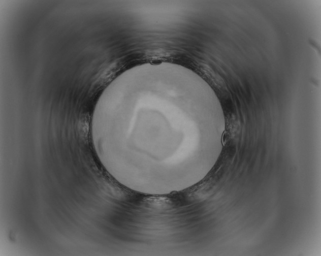 X0000090950427200708301144