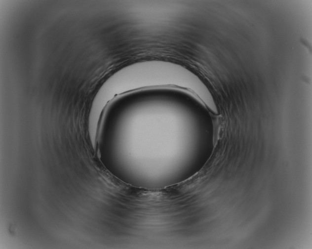 X0000090950428200708301144