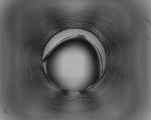 X0000090950429200708301144