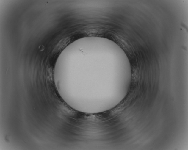 X0000090950430200708301144