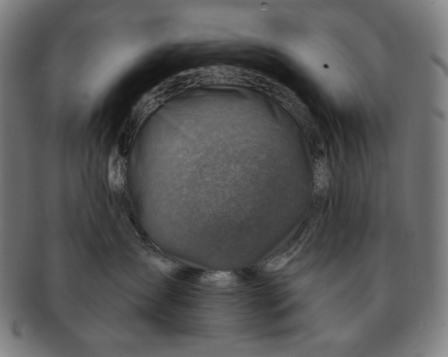 X0000090950431200708301144