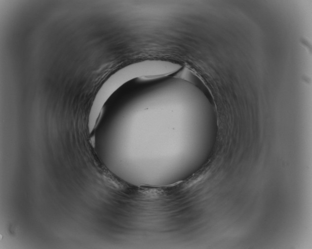 X0000090950432200708301144