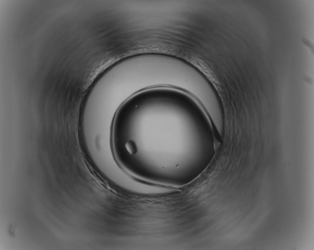 X0000090950434200708301143