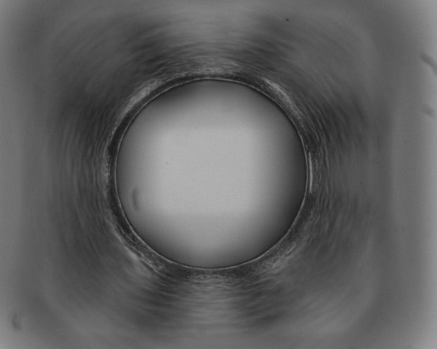 X0000090950435200708301143