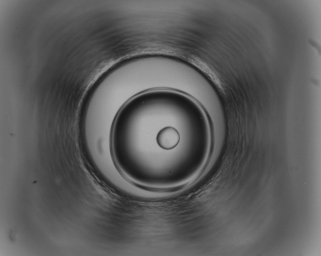 X0000090950436200708301143