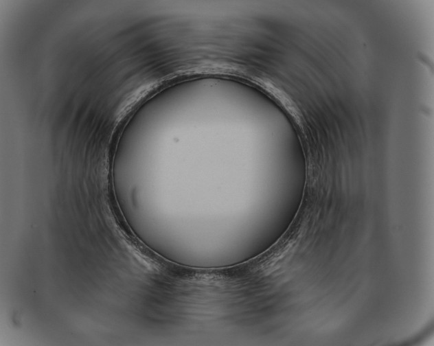 X0000090950437200708301143