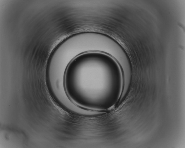 X0000090950438200708301143