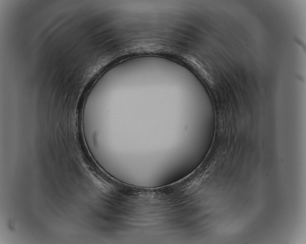 X0000090950439200708301143