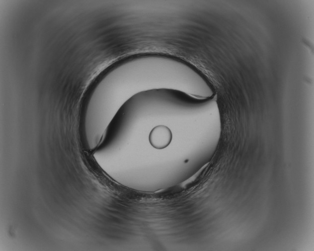 X0000090950440200708301143