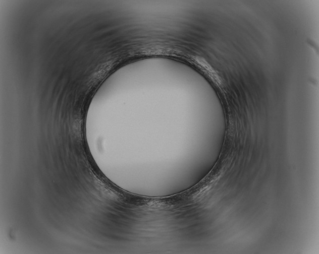 X0000090950441200708301143