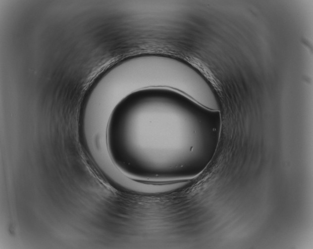 X0000090950442200708301143