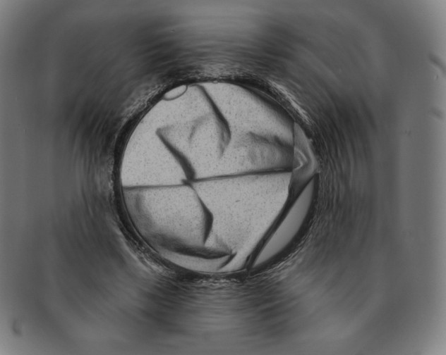 X0000090950443200708301143