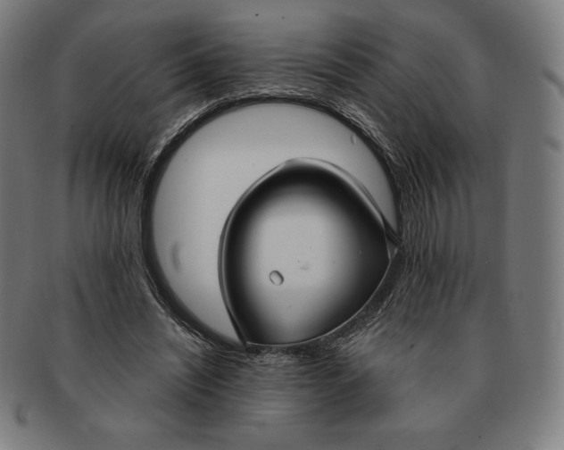 X0000090950444200708301143