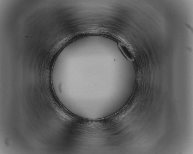 X0000090950445200708301143
