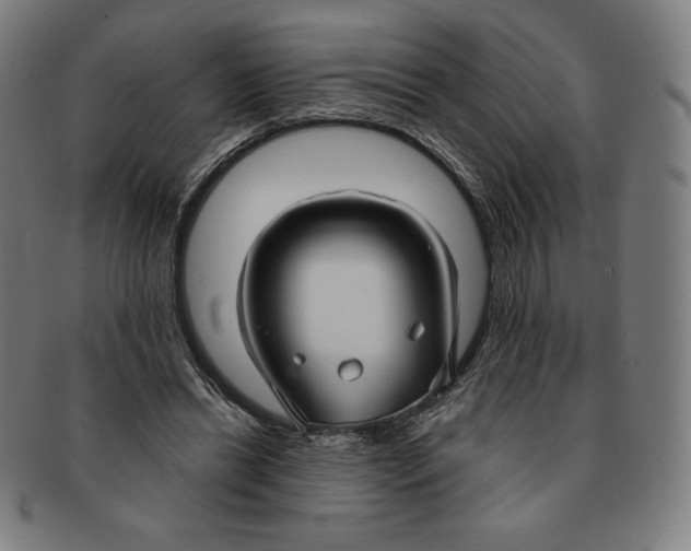 X0000090950446200708301143